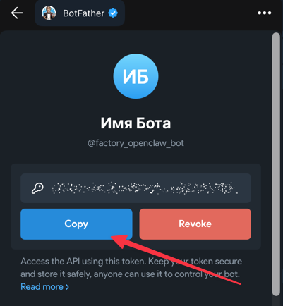 Токен бота от BotFather