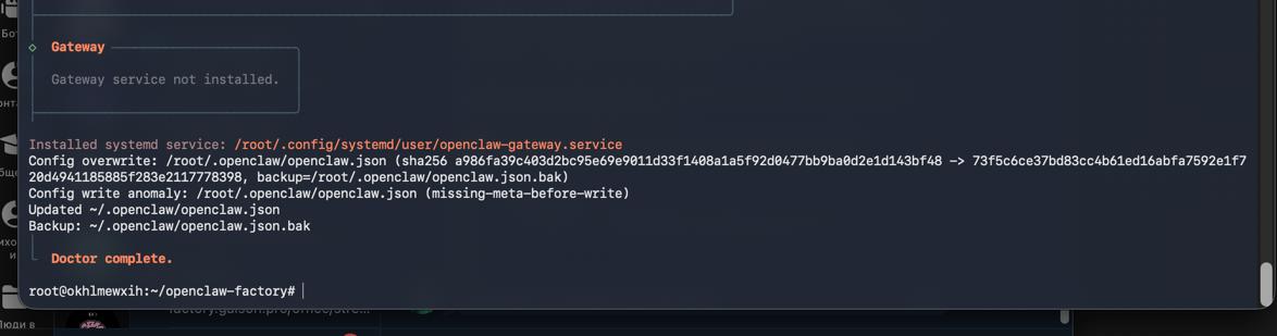 Doctor complete — диагностика пройдена