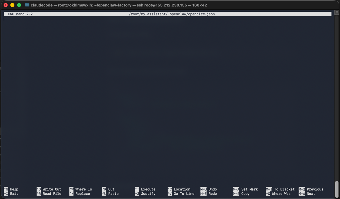 Конфиг openclaw.json